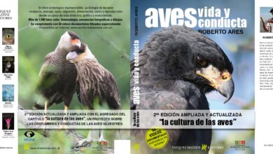 Photo of 10 Alternativas al Ave para Aprender Español: ¡Descubre Nuevas Especies!