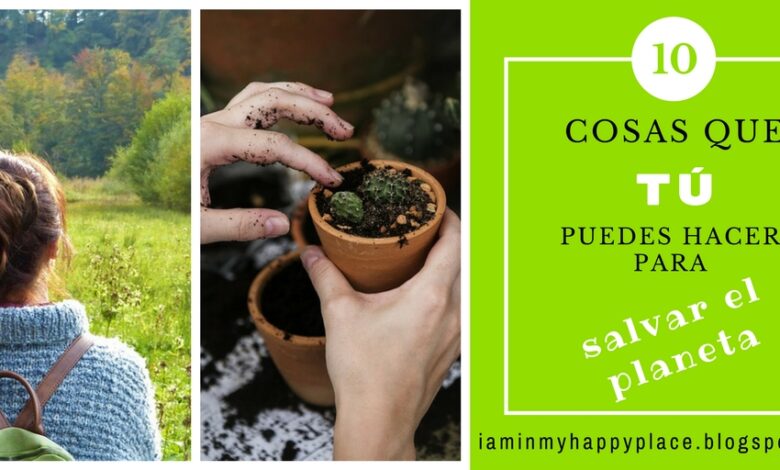 10 prácticas sencillas para cuidar el medio ambiente y salvar el planeta
