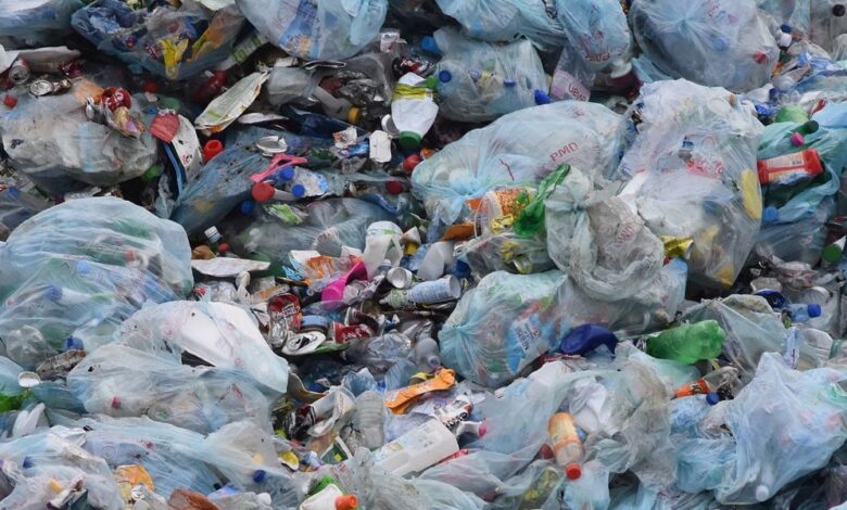 5 Alternativas Ecológicas para Combatir la Contaminación del Plástico: ¡Cuida el Medio Ambiente!