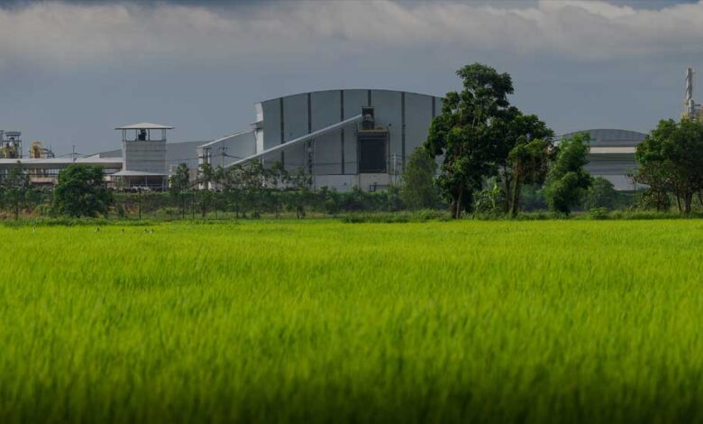 5 alternativas efectivas para reducir la contaminación ambiental de manera sostenible