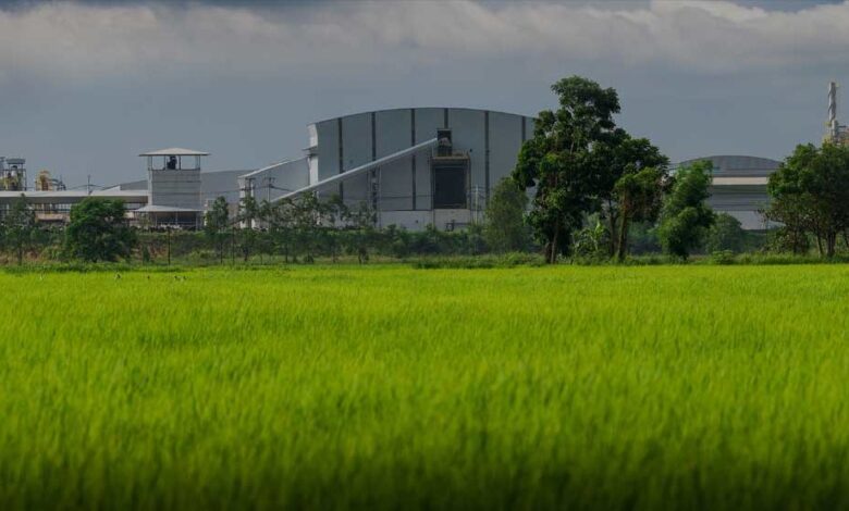 5 Estrategias Efectivas para Combatir la Contaminación del Agua: Soluciones Sostenibles y Eco-Amigables