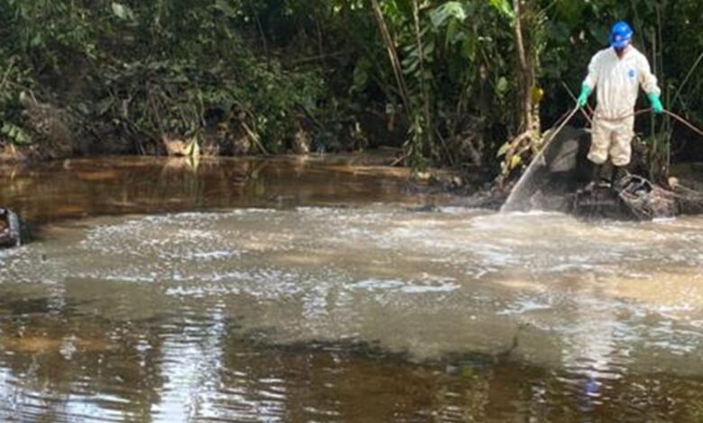 8 alternativas efectivas para combatir la contaminación por derrames de petróleo