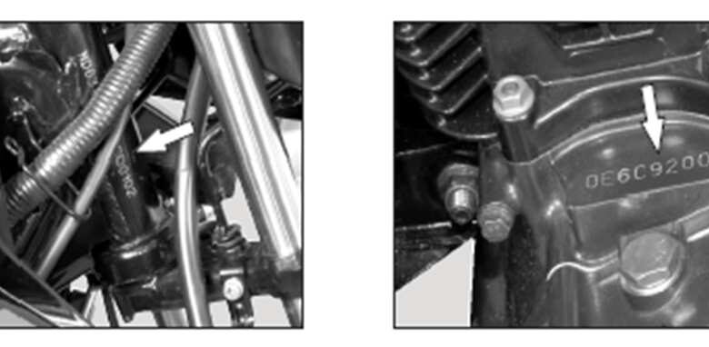 Alternador para toma de fuerza de 10 kVA: ¡Descubre la potencia que necesitas en tu equipo! Alternador para toma de fuerza de 10 kVA: ¡Descubre la potencia que necesitas en tu equipo!