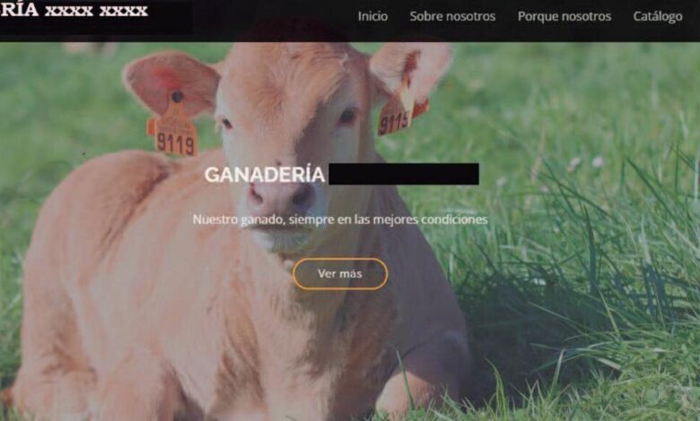 Alternativas a Agroseguro para Animales Fallecidos: Encuentra la Mejor Protección para tu Ganado