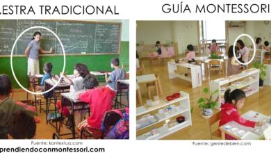Photo of Alternativas de escolarización: Opciones educativas para el alumnado