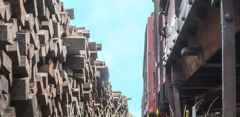 Alternativas ecológicas a las bigas de madera para decorar tu jardín
