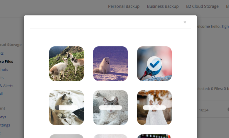 Alternativas eficientes a Android File Transfer para Mac: ¡Descubre las mejores opciones!