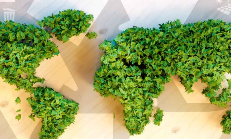 Alternativas sostenibles para el entierro: impacto en el medio ambiente y en el futuro