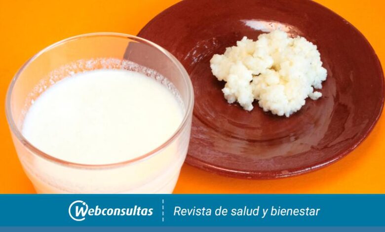 Beneficios del Kéfir con Leche de Vaca y Soja: La Combinación Perfecta para tu Salud