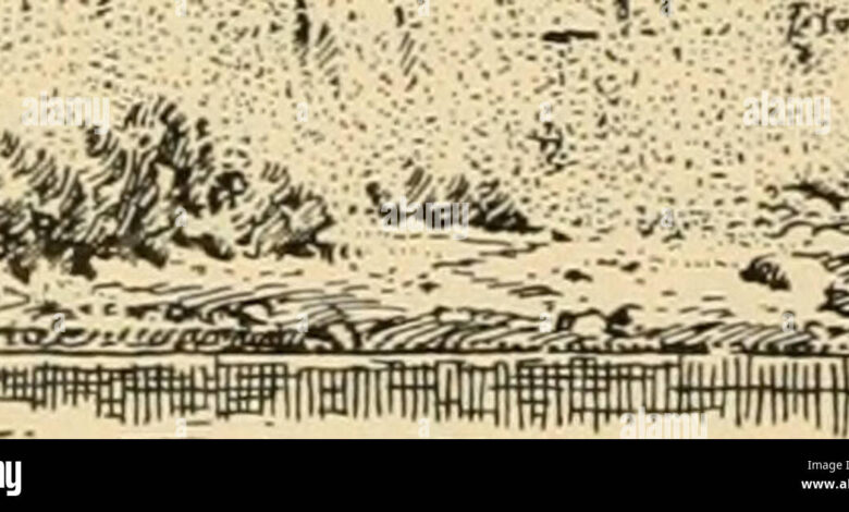 Descubre los Mejores Alternadores para Generadores: Guía de Compra y Comparativa en Español