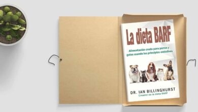 Photo of Dieta casera para perros y gatos: la guía definitiva para una alimentación saludable en formato PDF