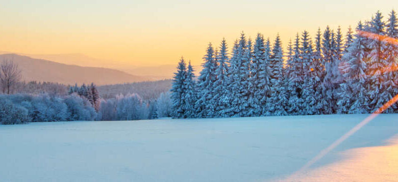 Escapada tranquila para fin de año en Málaga: descubre la alternativa perfecta para relajarte en las fiestas