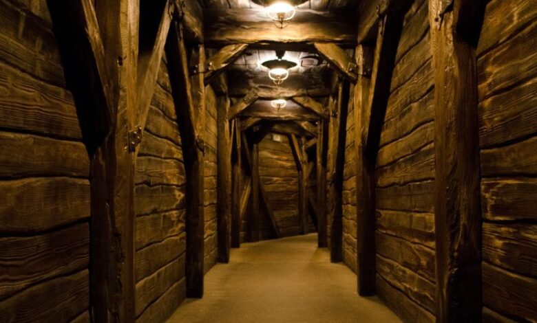 Experiencia aterradora: Alternativas a la típica casa del terror para Halloween