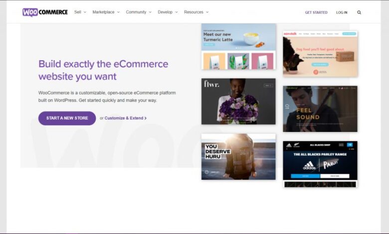 Las mejores alternativas de Oberlo para WordPress: ¡Aprovecha al máximo tu tienda online!