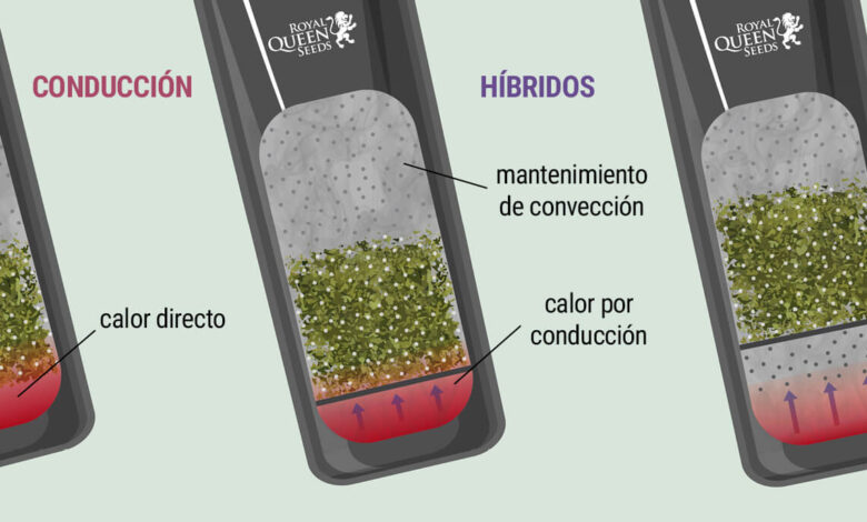 Mejor opción para vaporizador: Descubre la alternativa perfecta para ti