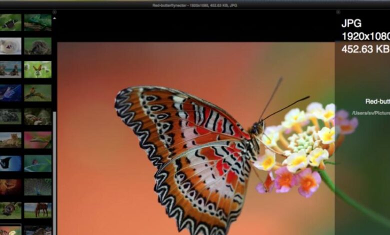 Mejores alternativas a Illustrator para Mac Catalina: ¡Descubre las opciones más potentes y fáciles de usar!