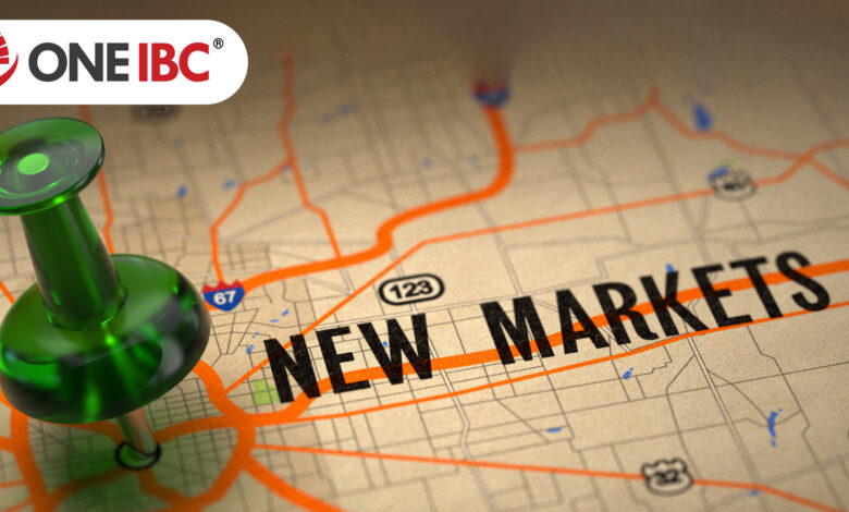 Oportunidades de expansión internacional: Alternativas estratégicas para el crecimiento de la empresa multinacional