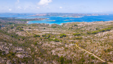 Photo of Ruta económica de Palau a Isola Maddalena: ¡Descubre la mejor opción!